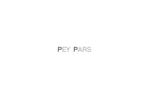 pay-pars-2